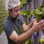 Vertical Farming Startup Secures Millions for Growth 