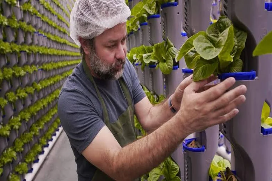 Vertical Farming Startup Secures Millions for Growth